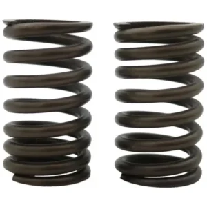 ΕΛΑΤΗΡΙΑ ΒΑΛΒΙΔΩΝ RACING CRYPTON 110/115 2.8x34.1L TOBAKI 2TEM.