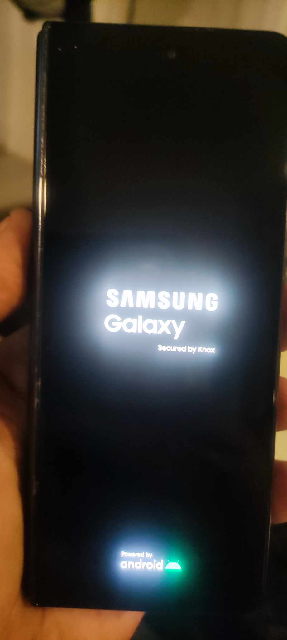 456085385_1728986480971309_6941536857249862351_n