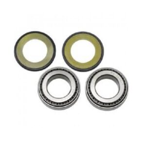 ΡΟΥΛΕΜΑΝ ΤΙΜΟΝΙΟΥ TDM900 DL650/1000 GSXR1300 22-1003 ΣΕΤ WRP ΙΤΑΛ