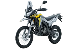 300RALLY VOGE