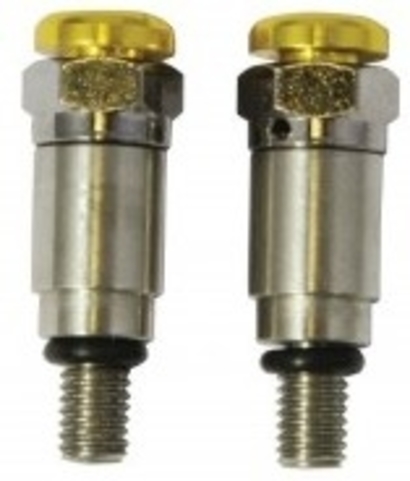 valvidesexaerosis-1