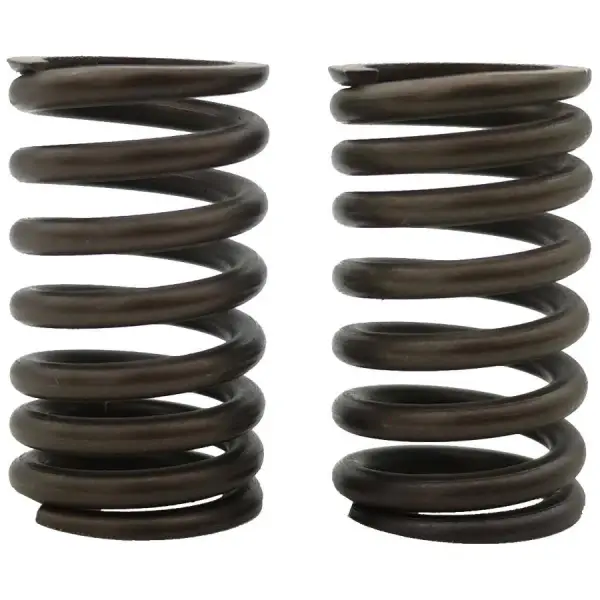 ΕΛΑΤΗΡΙΑ-ΒΑΛΒΙΔΩΝ-RACING-CRYPTON-110_115-2.8x34.1L-TOBAKI-2TEM